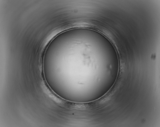 X0000111240843200907091357