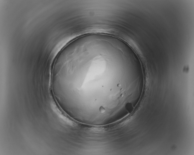 X0000111240844200907091357