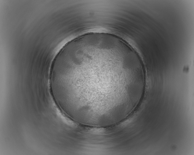 X0000111240845200907091357