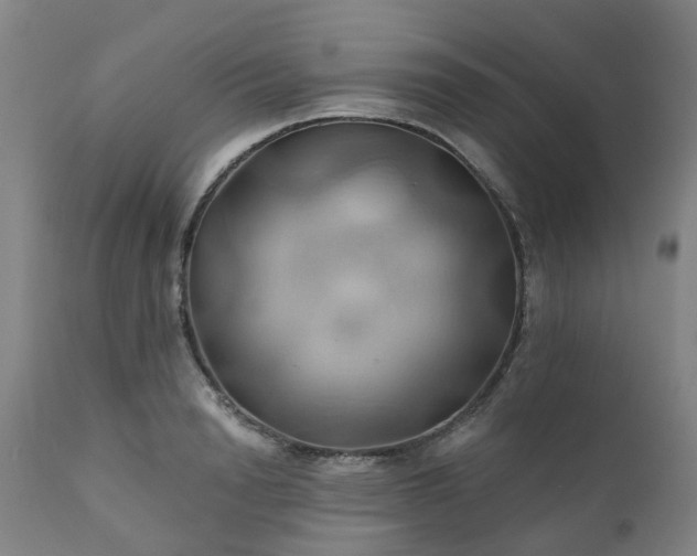 X0000111240846200907091357