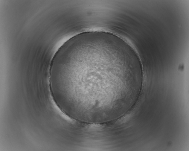 X0000111240847200907091357