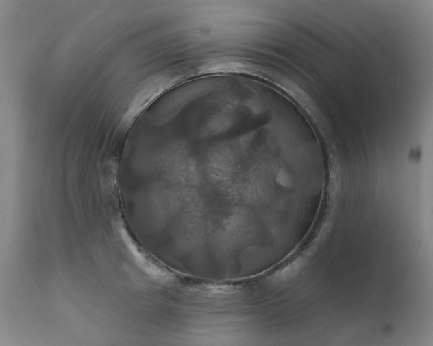 X0000111240849200907091357