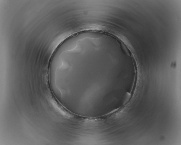 X0000111240850200907091357