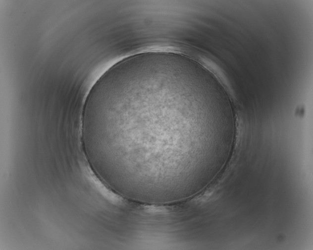 X0000111240852200907091357