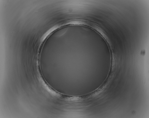 X0000111240853200907091357