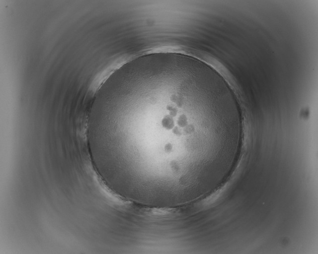 X0000111240857200907091357