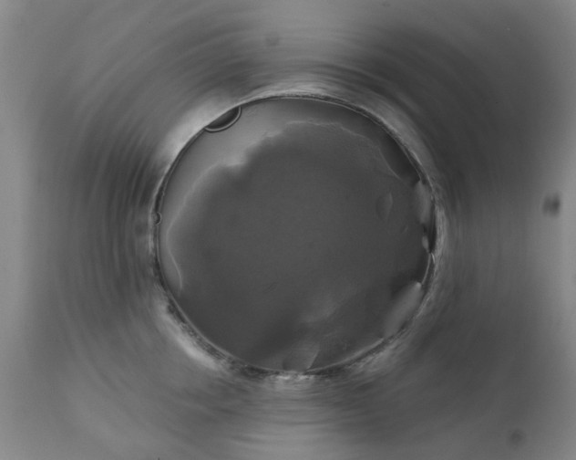 X0000111240858200907091358