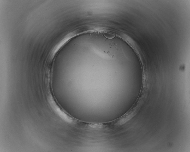 X0000111240859200907091358