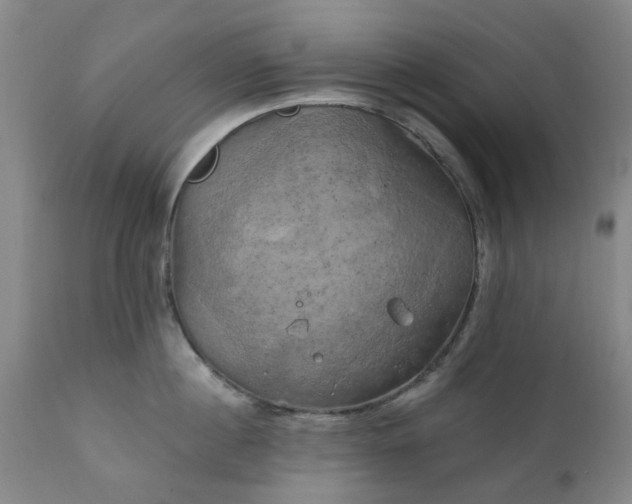 X0000111240860200907091358