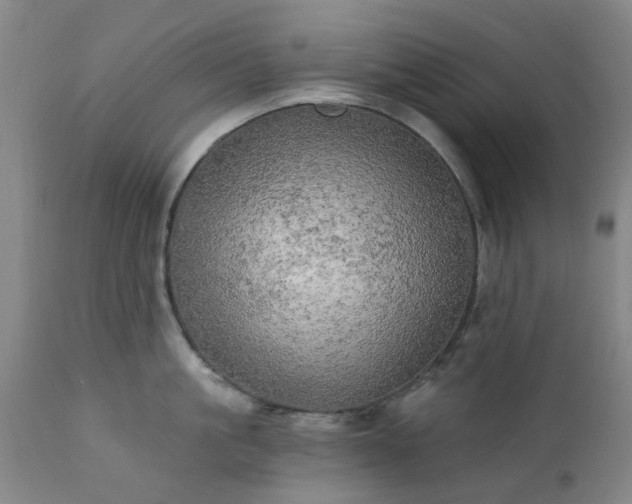 X0000111240861200907091358