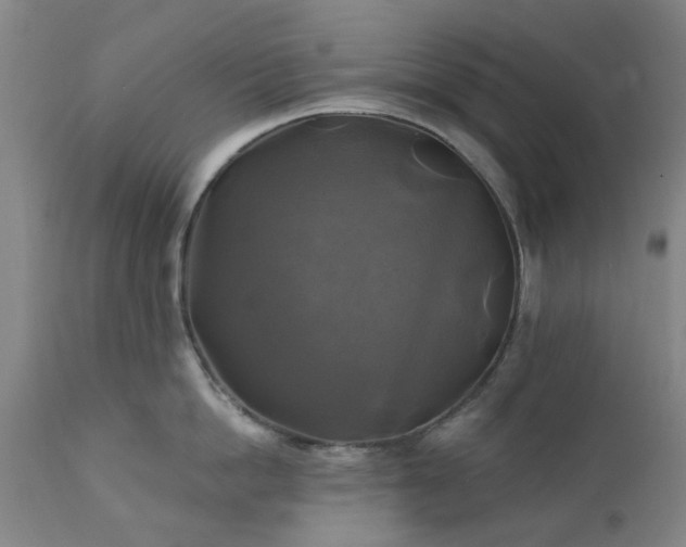 X0000111240862200907091358