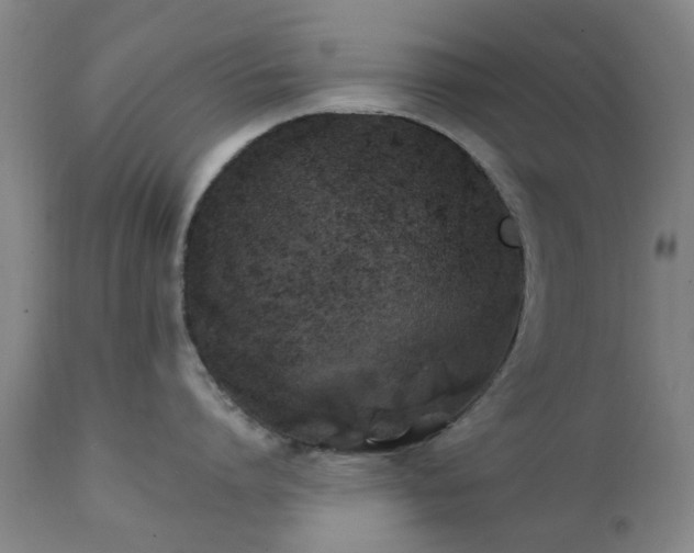 X0000111240864200907091358