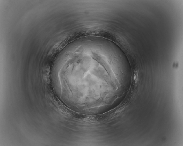 X0000111240867200907091357