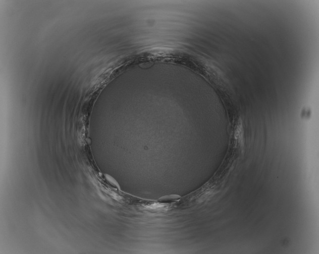 X0000111240868200907091357