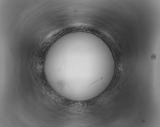 X0000111240869200907091357