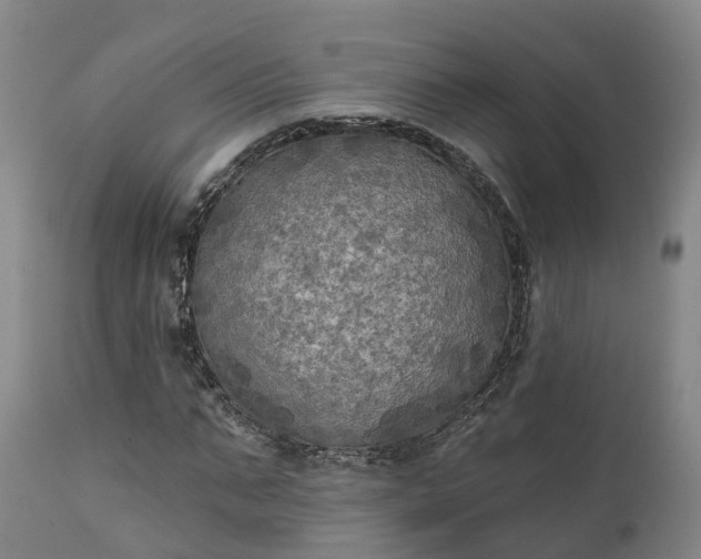 X0000111240871200907091357