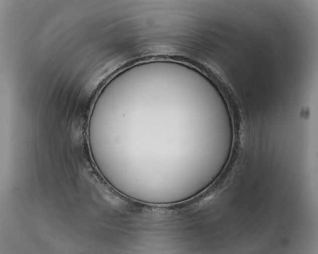 X0000111240873200907091357