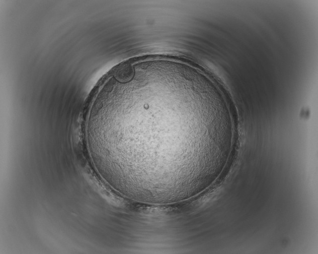 X0000111240875200907091357