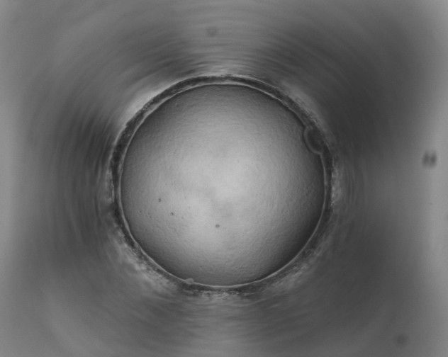 X0000111240876200907091357