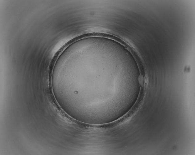 X0000111240877200907091357