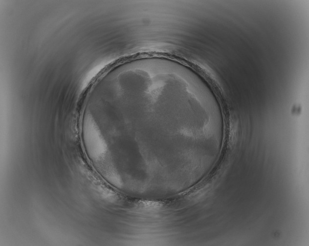 X0000111240878200907091357