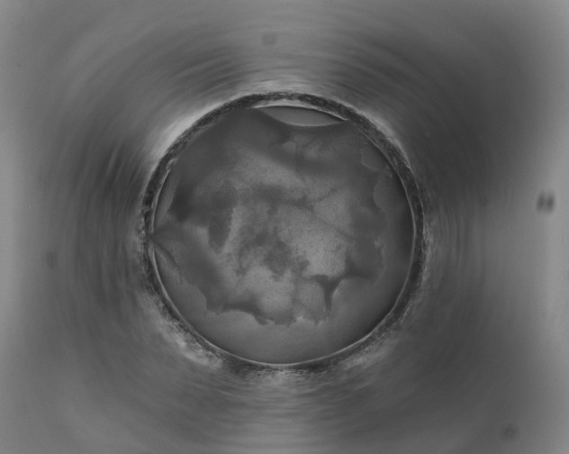 X0000111240879200907091357