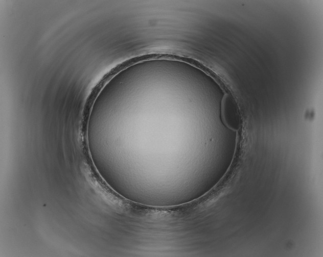 X0000111240880200907091357