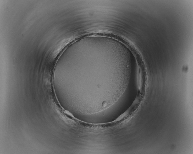 X0000111240881200907091357