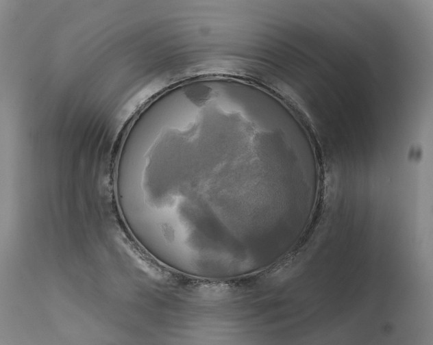 X0000111240882200907091357