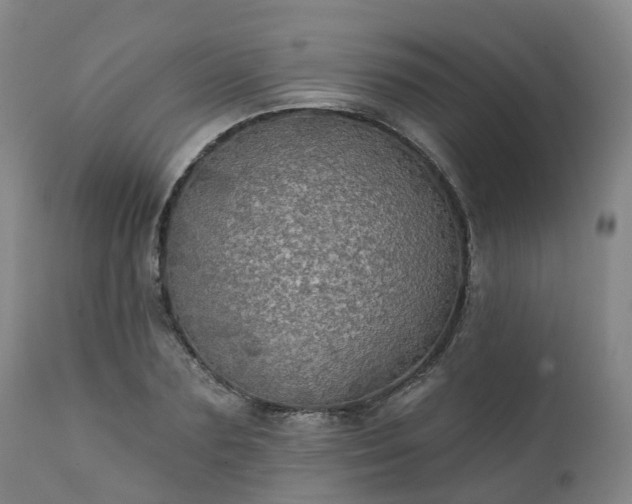 X0000111240883200907091357