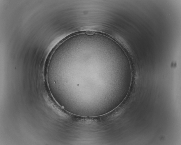 X0000111240884200907091357