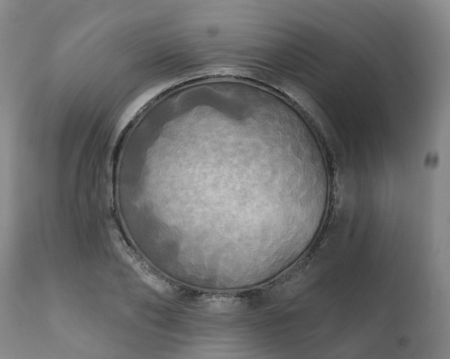 X0000111240886200907091357