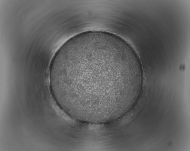 X0000111240887200907091357