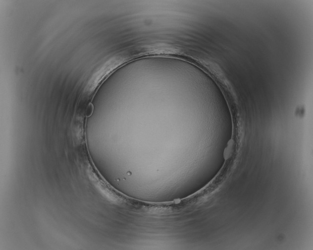 X0000111240889200907091357