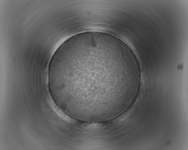 X0000111240891200907091357