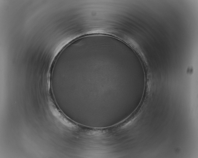 X0000111240892200907091357