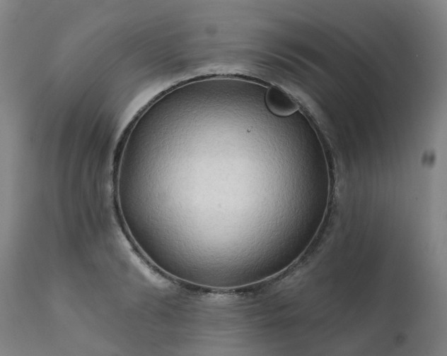 X0000111240894200907091357