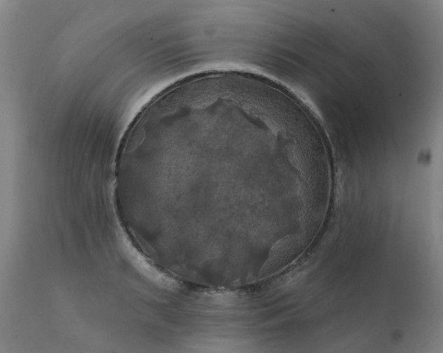 X0000111240895200907091357