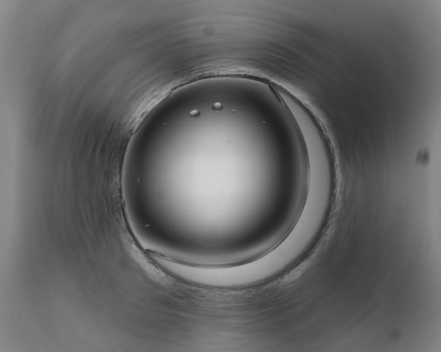 X0000111240897200907091356