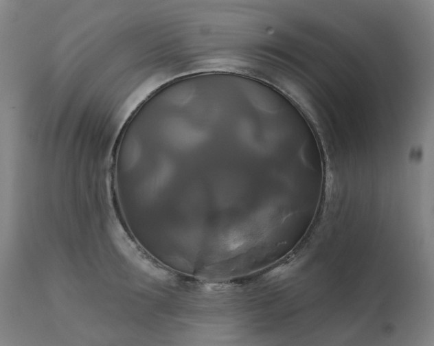 X0000111240899200907091356