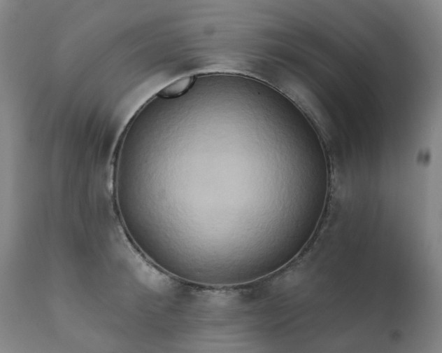 X0000111240900200907091356