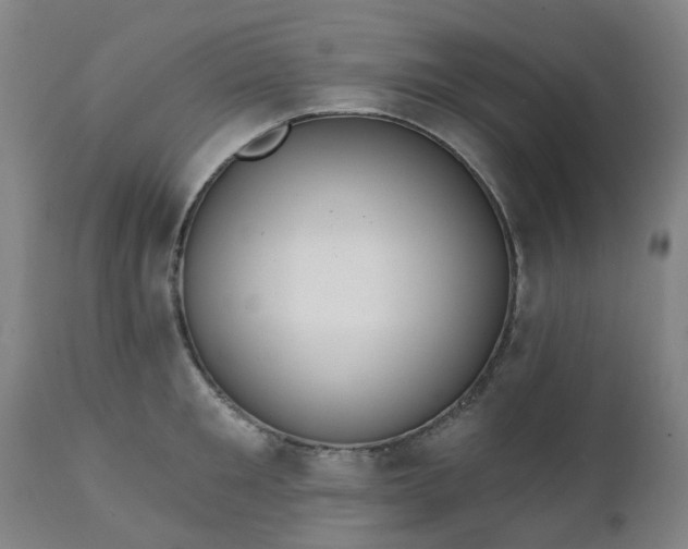 X0000111240901200907091356