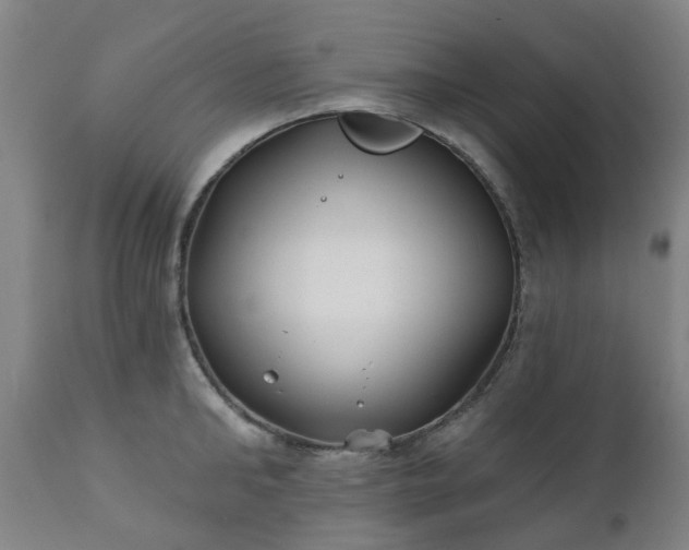 X0000111240902200907091356