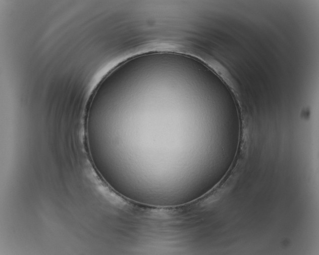 X0000111240904200907091356