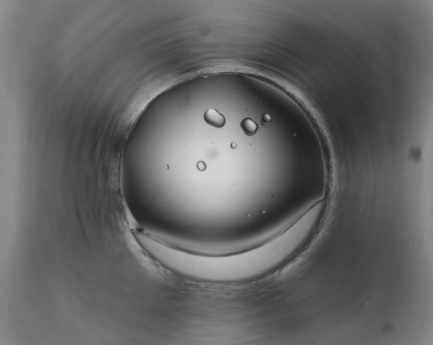 X0000111240905200907091356