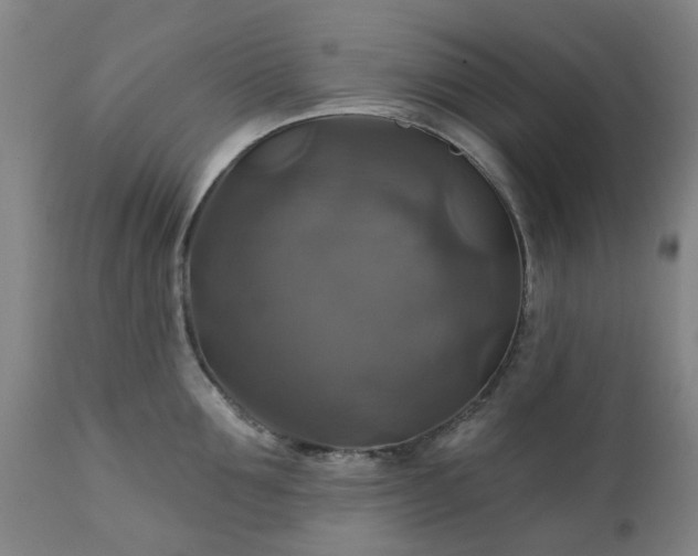 X0000111240907200907091356