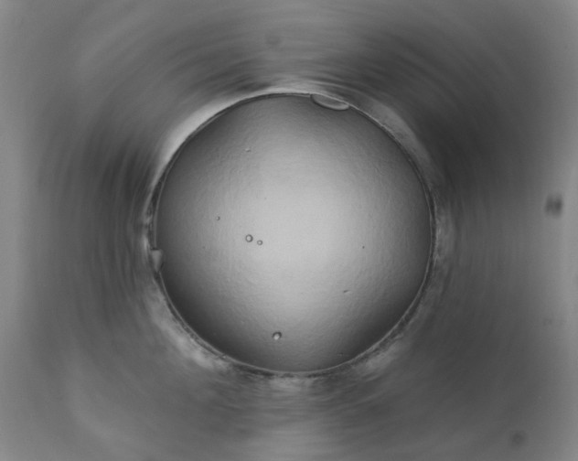 X0000111240908200907091356