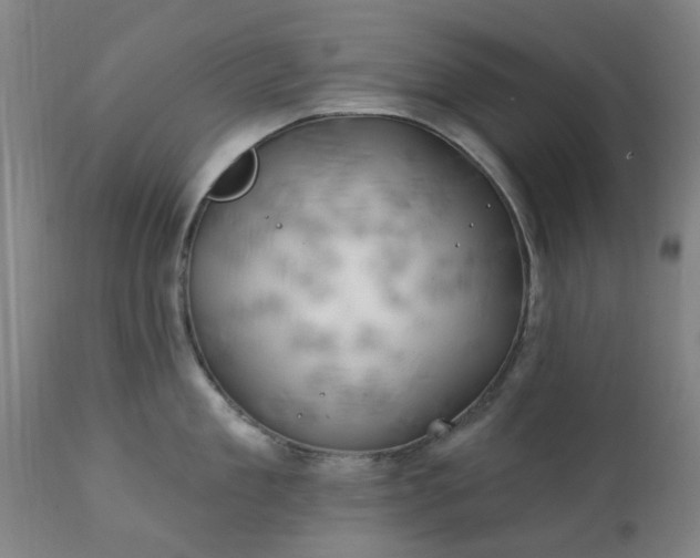 X0000111240909200907091356