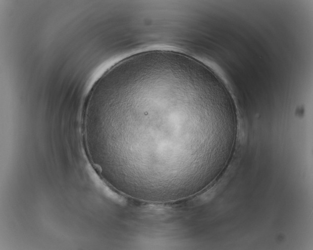 X0000111240910200907091356