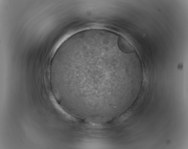 X0000111240911200907091356